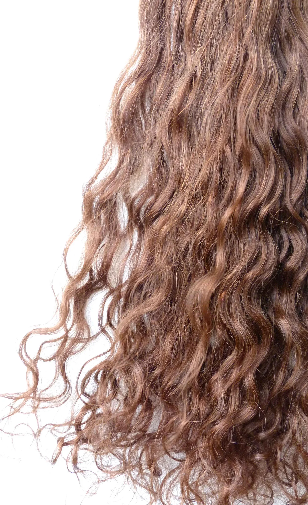 European Butterfly Weft Extensions - Image 7